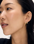 Huggie Earrings Set