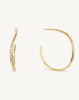 Camille Hoops