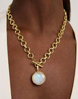Knockout Collar