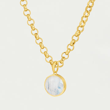 Signature Collar