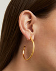 Signature Revival Midi Hoops