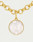 Signature Collar
