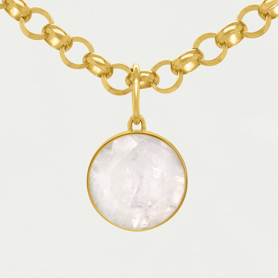 Signature Collar